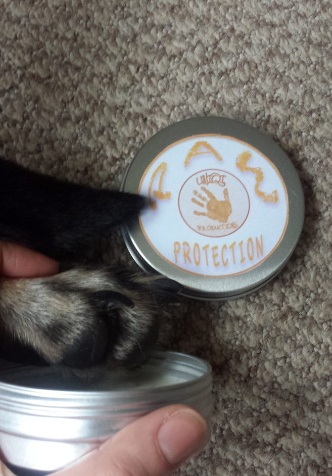 Dog Walking Paw Protection